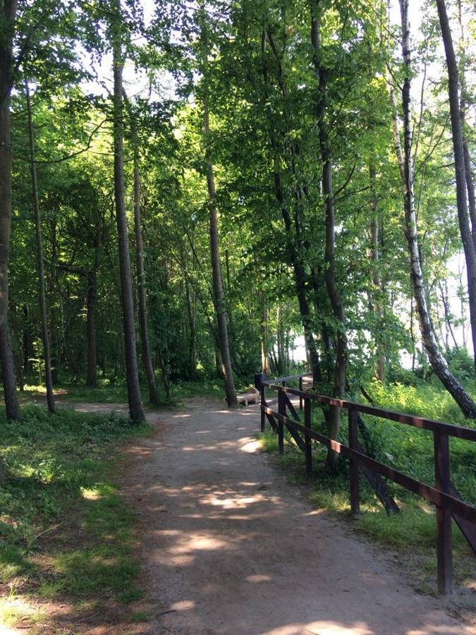 Domek Miłka Jastrzębia Góra Dış mekan fotoğraf